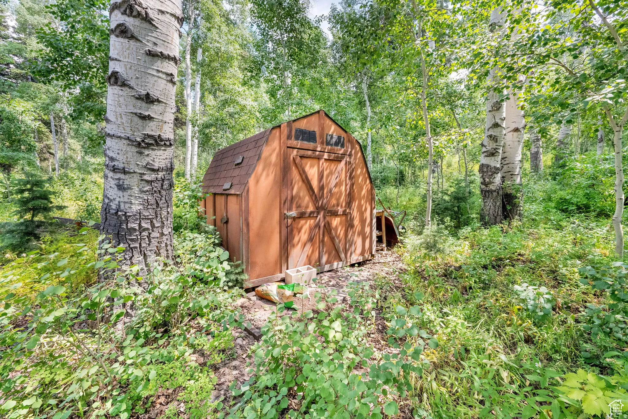 View of shed