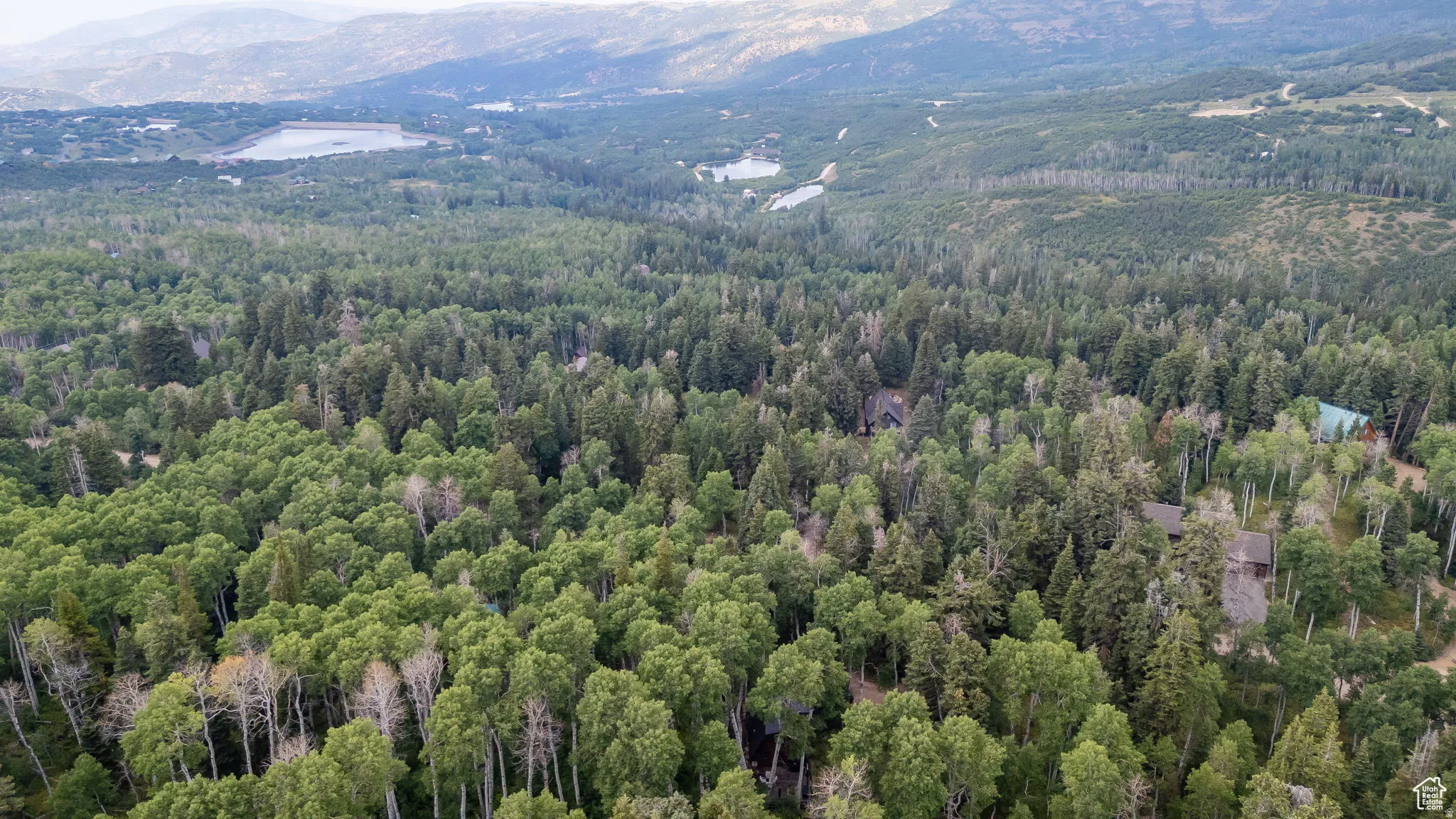 Aerial view of a mountainous background and a heavily wooded area