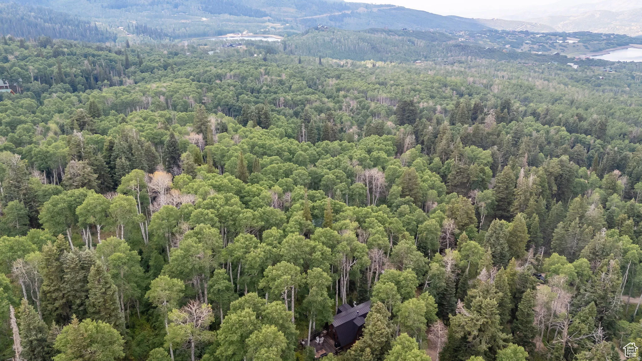 Bird's eye view of a forest and a mountainous background