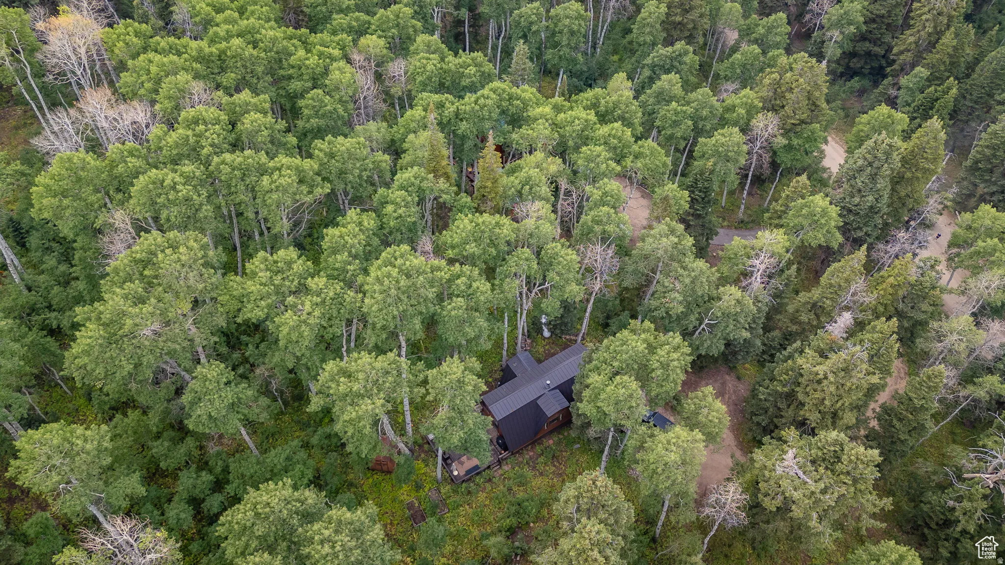 Aerial view of a heavily wooded area