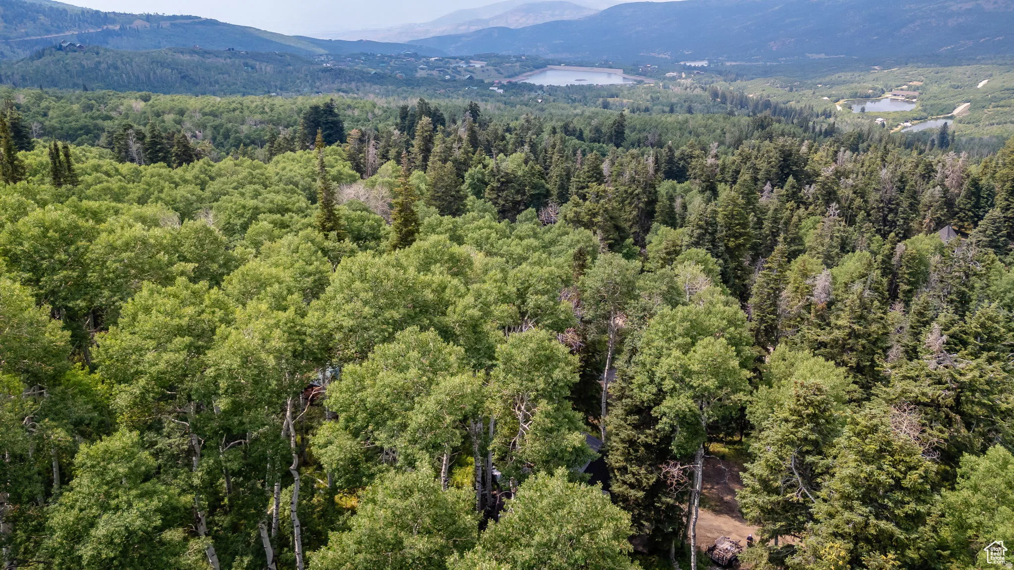 Bird's eye view of mountains and a heavily wooded area