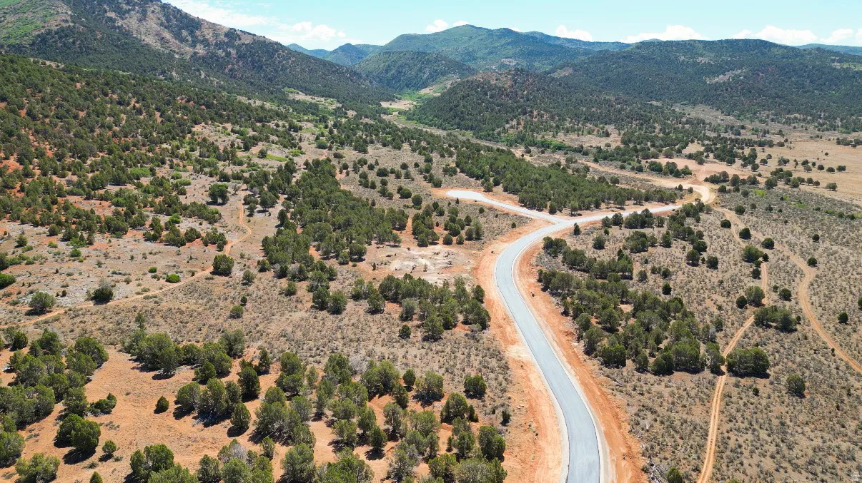 Paved road winding through a landscape of mature evergreen trees and arid vegetation