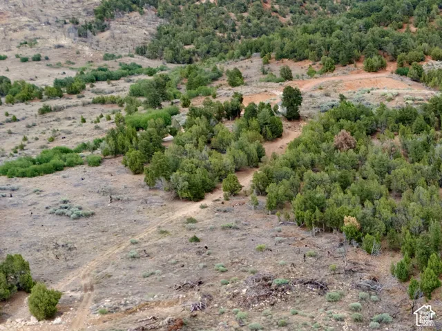 Vast acreage with a paved road frontage