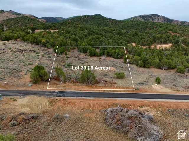 Expansive land parcel featuring natural terrain and mature trees, bordering a paved roadway