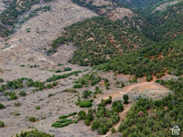 Expansive property featuring a paved road, natural landscaping, and a distant residence