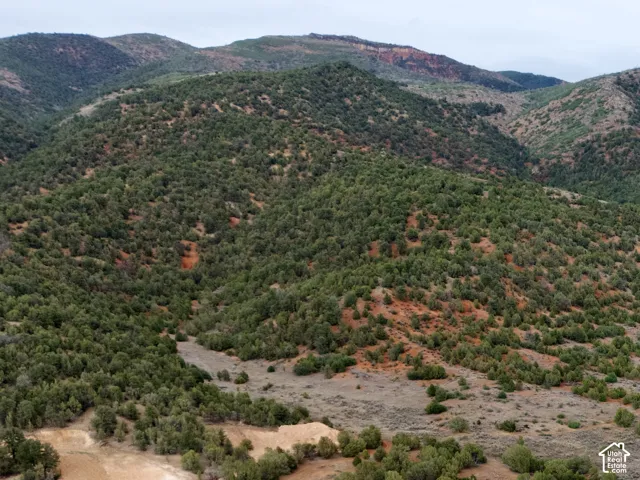 Paved roadways with cul-de-sac, surrounded by natural land with varied topography and established vegetation