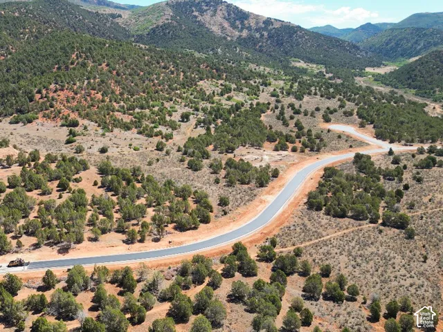 Winding paved road with a cul-de-sac, surrounded by natural scrubland and numerous evergreen trees
