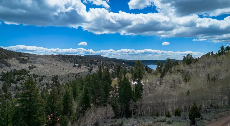 View of mountain background featuring a heavily wooded area
