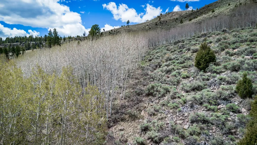 View of undeveloped land