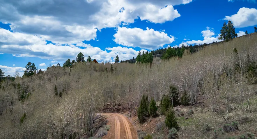 View of wooded area