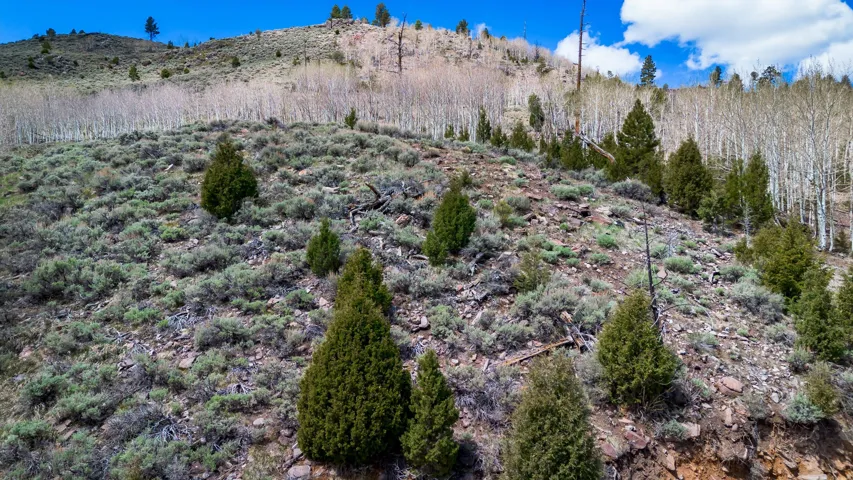 View of mountain backdrop