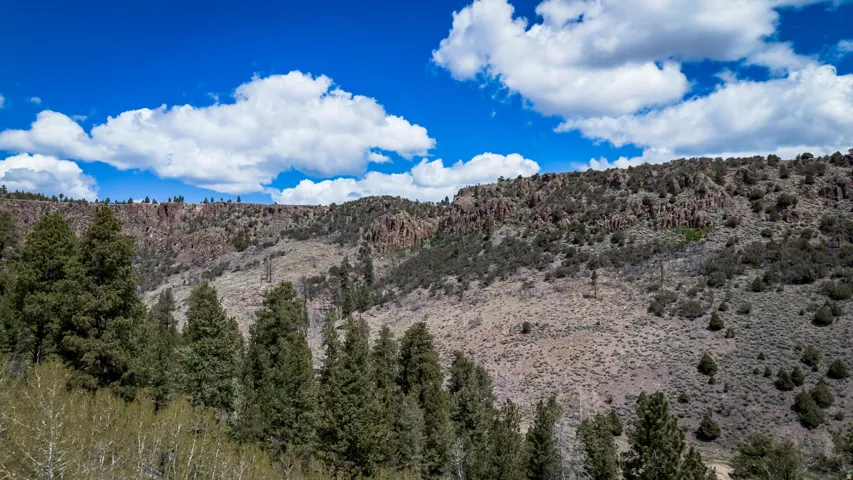 Mountain view with a heavily wooded area