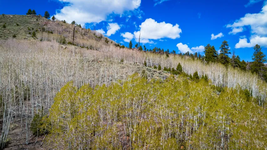 View of nature