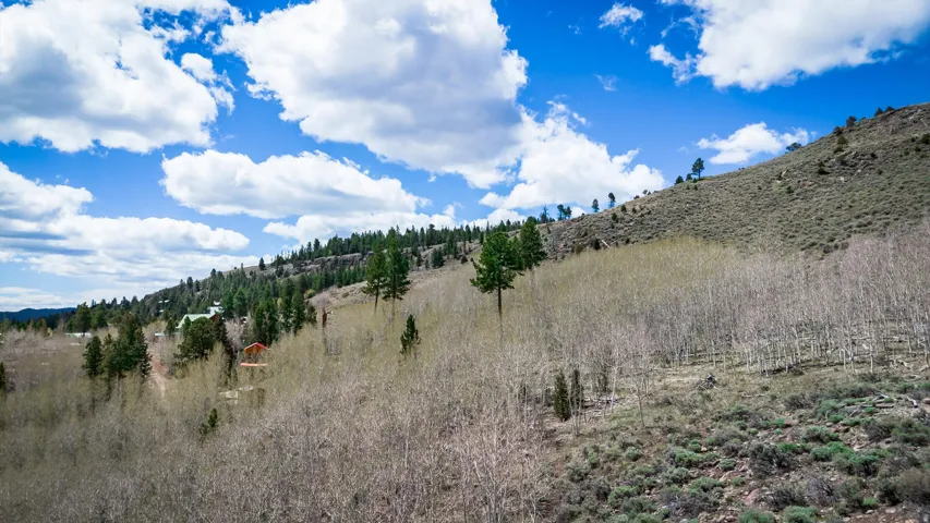 View of local wilderness with mountains
