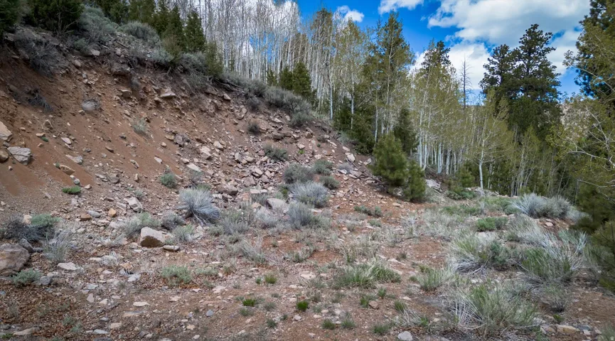 View of undeveloped land
