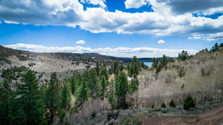View of mountain backdrop with a heavily wooded area