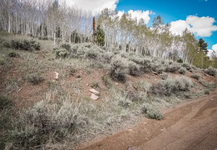 View of undeveloped land