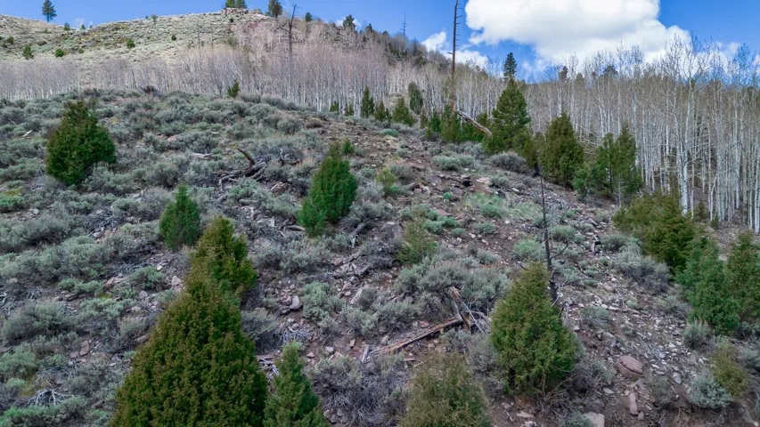 View of undeveloped land featuring a mountainous background