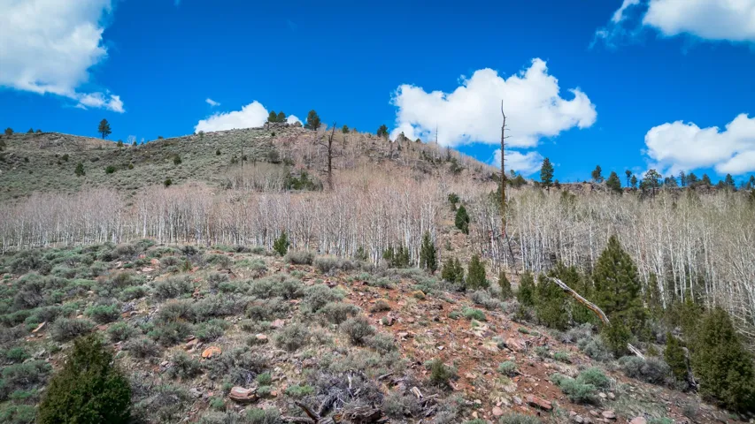 View of mountain backdrop