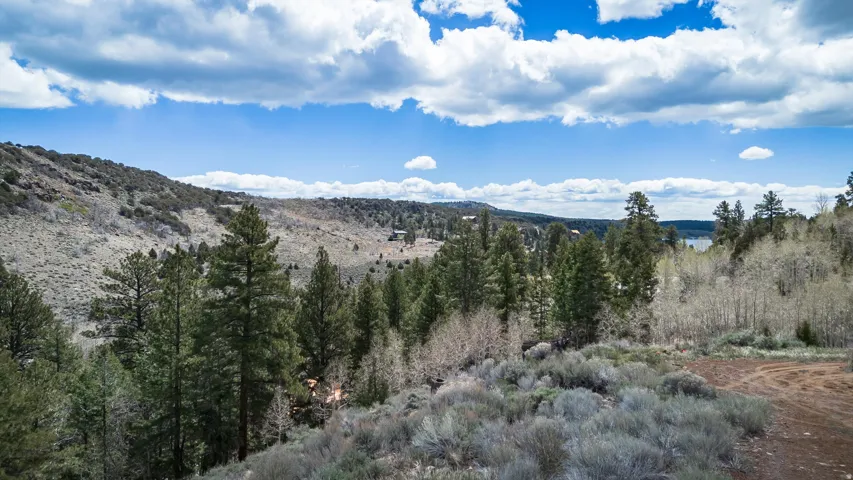 View of mountain backdrop featuring a heavily wooded area