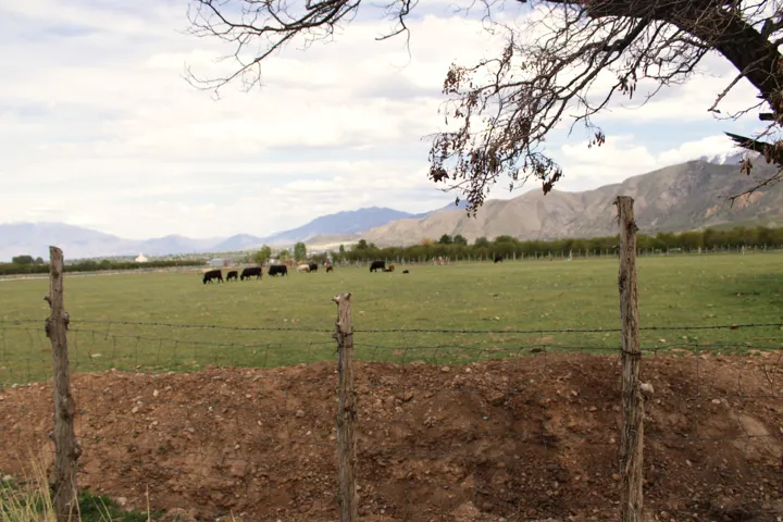 Mountain view featuring agricultural land and rural landscape
