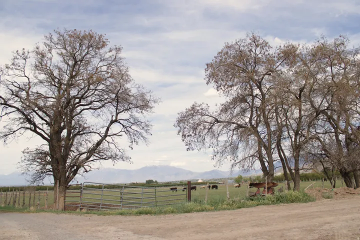 View of yard with a view of rural / pastoral area and a mountain view