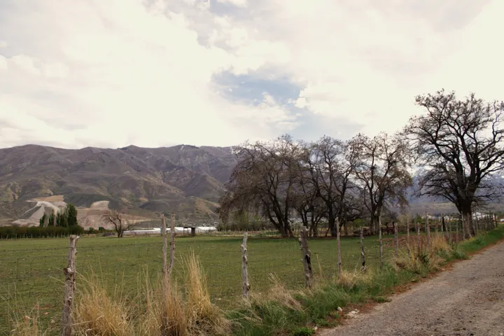 Mountain view featuring rural landscape