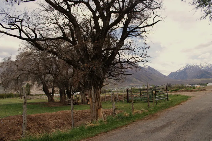 View of dirt / gravel road with a mountain view and a rural view