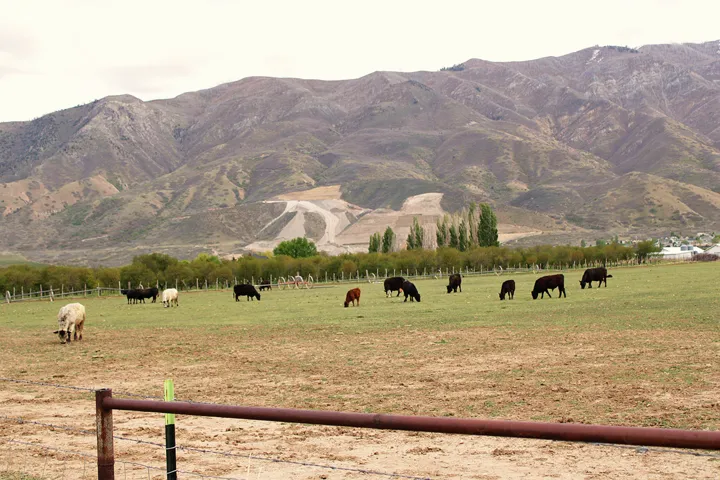 View of mountain backdrop with a pastoral area and rural landscape