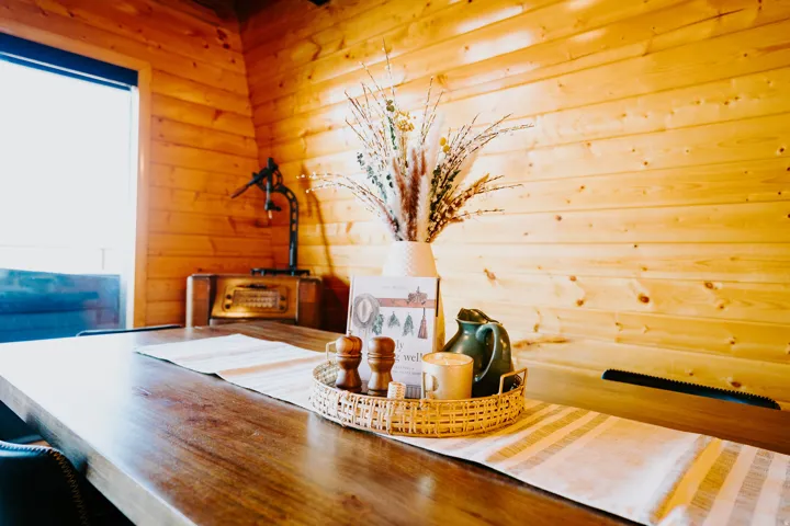 Dining area featuring wooden walls and plenty of natural light