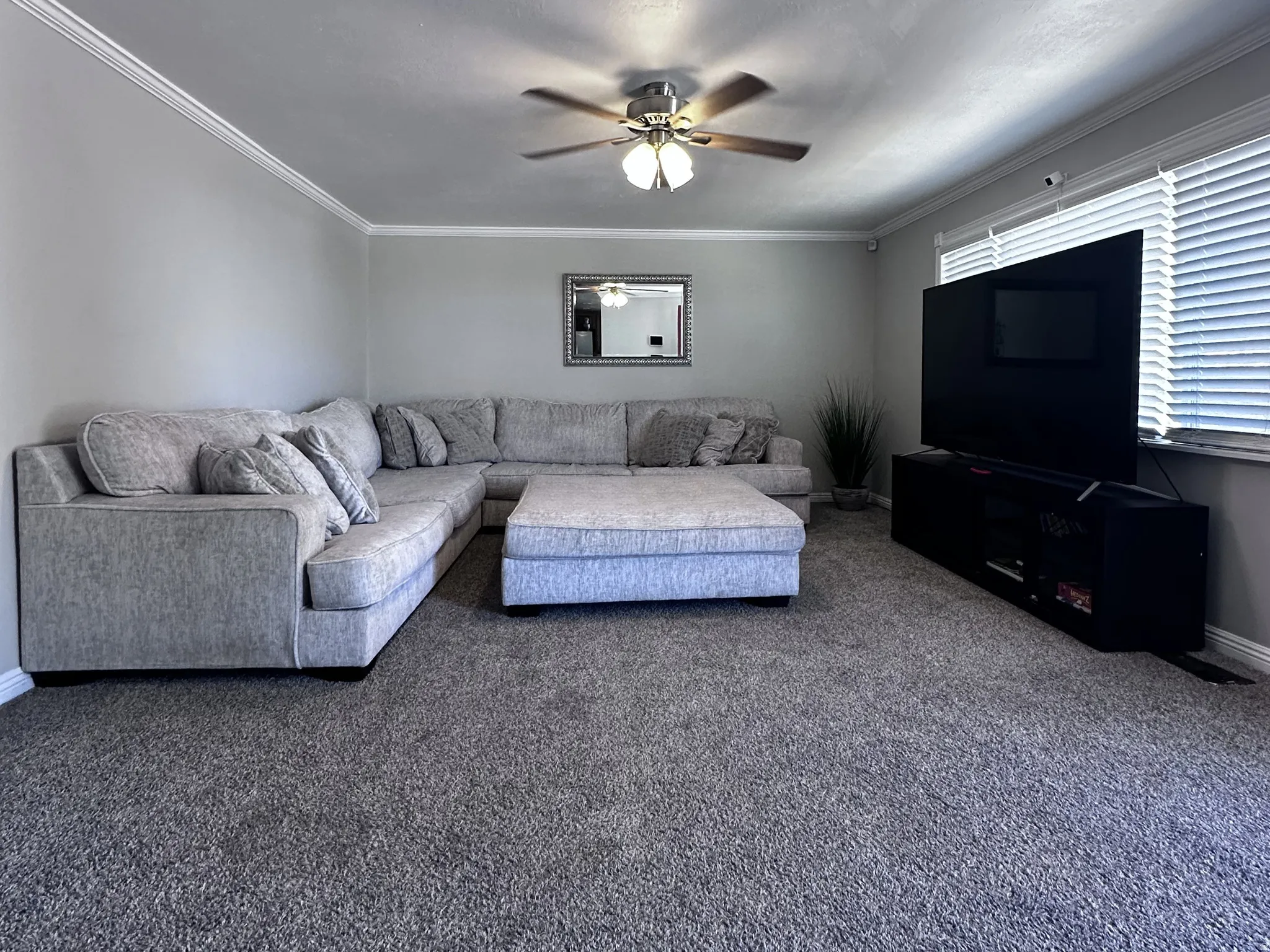 Carpeted living area featuring a ceiling fan and a textured ceiling