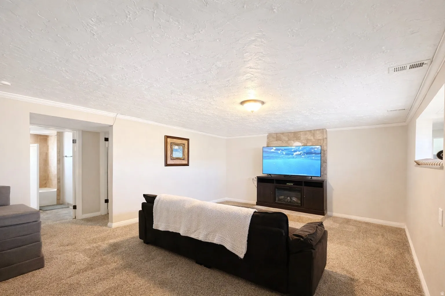 Basement living area with crown molding, light colored carpet, and a textured ceiling