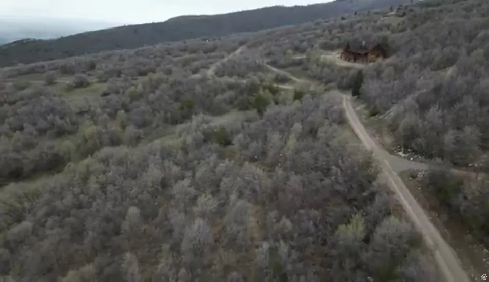 Bird's eye view of a forest and a mountainous background