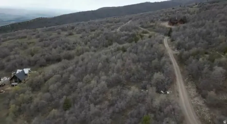 Bird's eye view of a heavily wooded area and a mountainous background