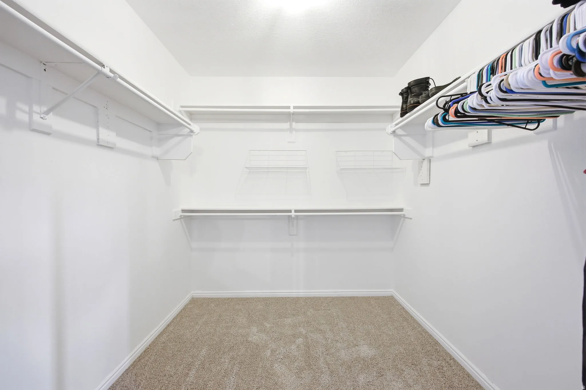 Walk in closet featuring light colored carpet