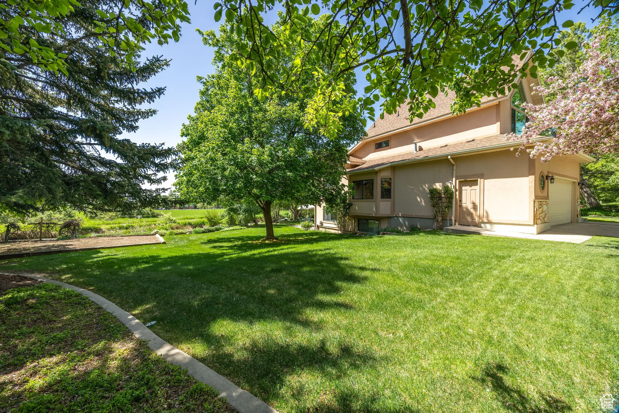 View of grassy yard