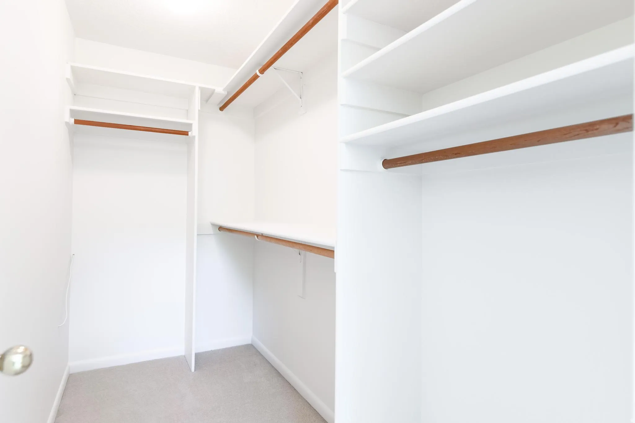 Walk in closet with light colored carpet