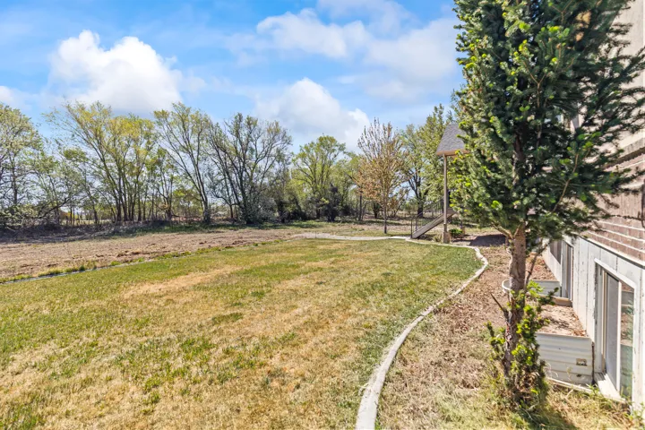 View of grassy yard