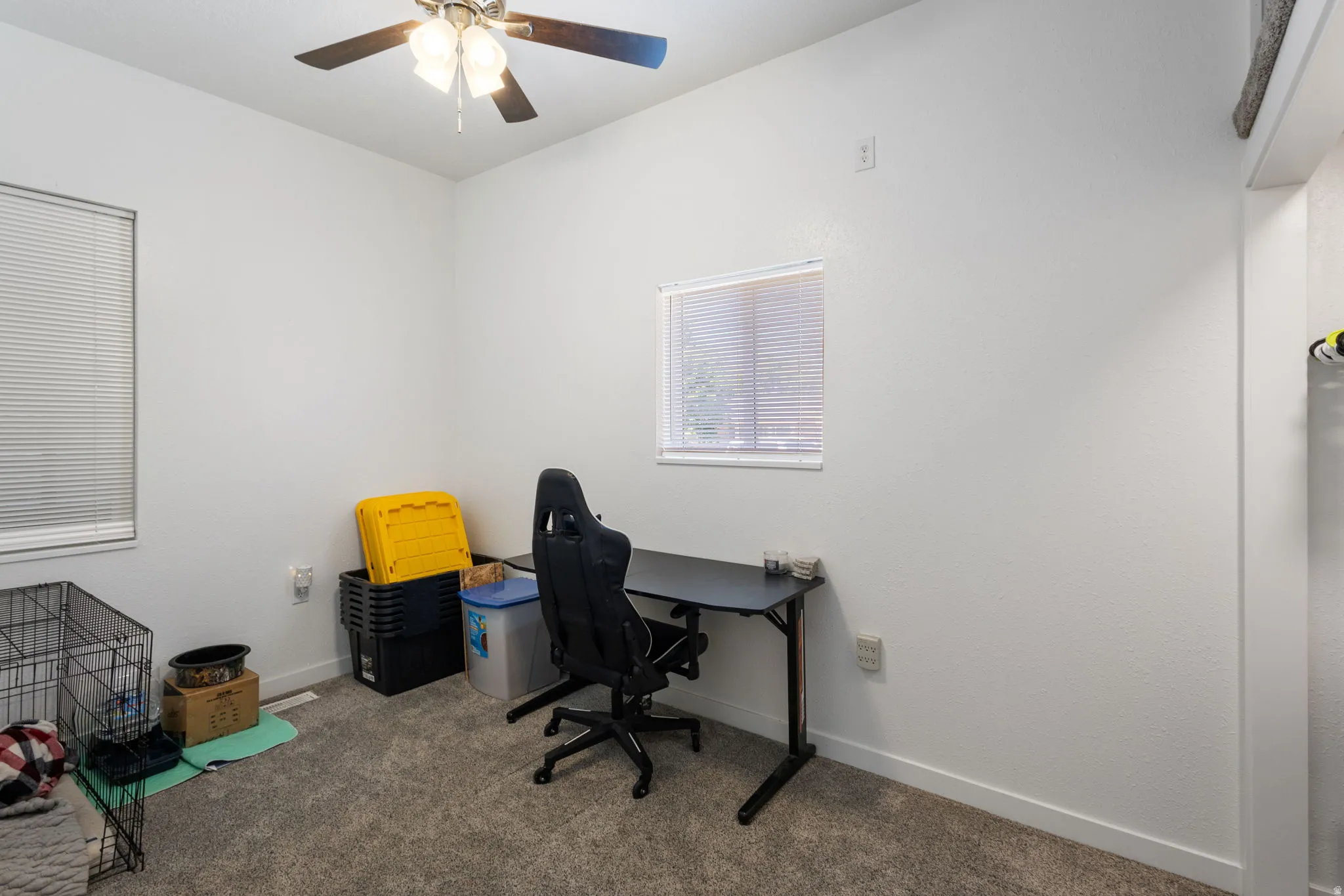 Office featuring carpet and a ceiling fan