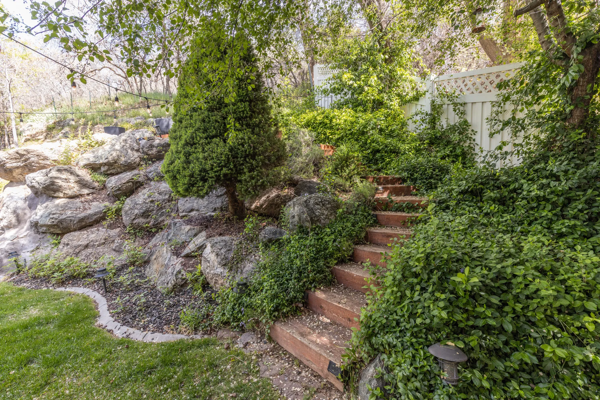 View of backyard