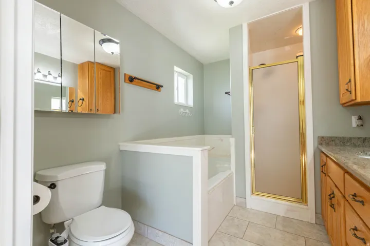 Bathroom featuring vanity, a shower stall, a garden tub, and light tile patterned floors