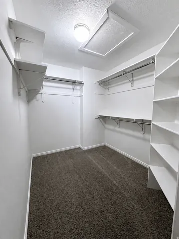 Spacious walk-in closet featuring built-in shelving, chrome hanging rods, plush carpeting, and a ceiling-mounted light fixture