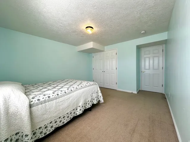 Carpeted room featuring a ceiling-mounted light fixture, painted walls, and white paneled doors, including a double-door closet