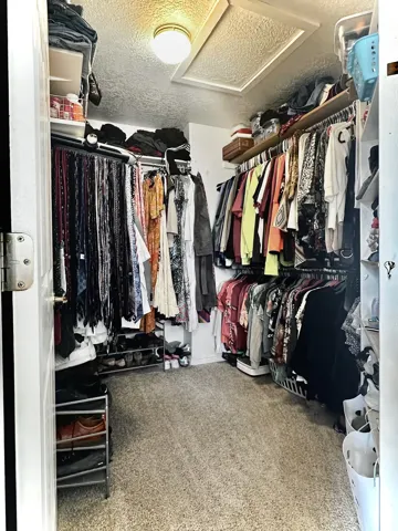 Carpeted walk-in closet featuring extensive hanging storage, overhead shelving, and a ceiling-mounted light fixture