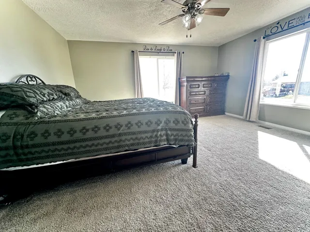 Spacious room featuring neutral carpeting, a ceiling fan with light fixture, and light-colored walls
