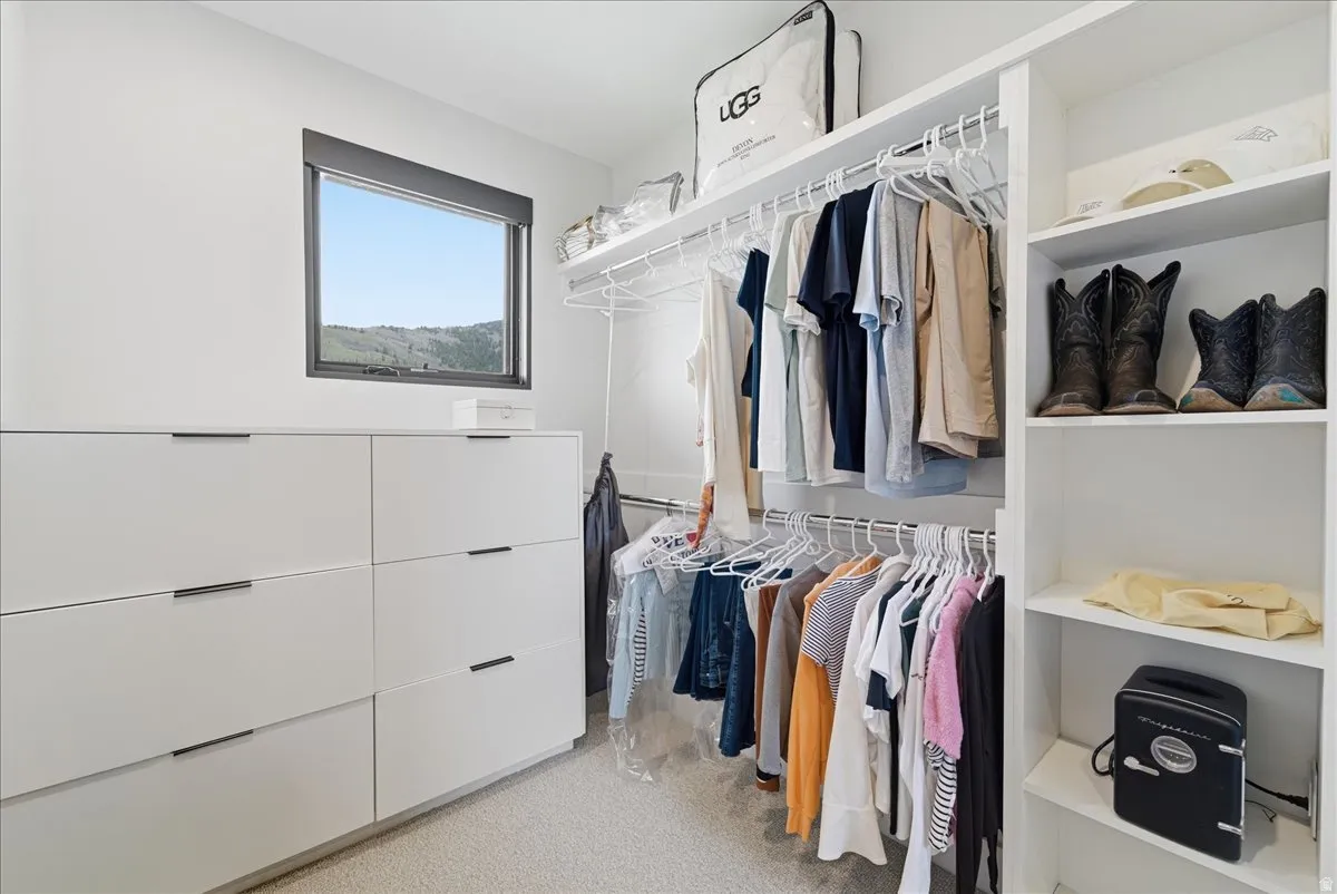 Walk in closet with light colored carpet