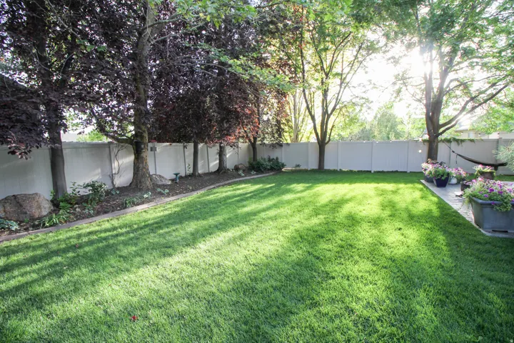 View of fenced backyard