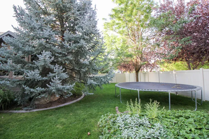 Fenced backyard featuring a trampoline