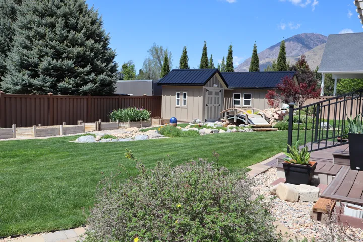 Expansive backyard featuring a manicured lawn, a detached shed with a black metal roof, and a decorative garden bridge