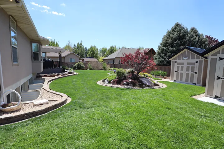 Expansive green lawn featuring a central rock garden with a red-leafed tree, a raised deck with a pergola, and two detached storage sheds